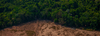 One half green forest, one half deforested land