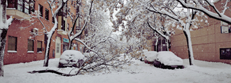 Heavy snowfall on tree-lines street with snow covered parked cars