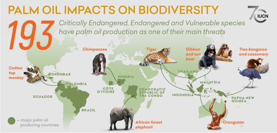 Palm Oil Impacts on Biodiversity